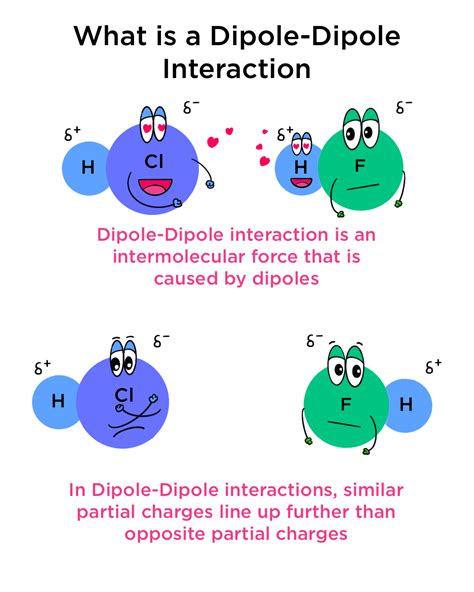 Diple Definition & Meaning .